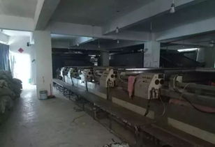 双百行动显成效 环保挑战下的责任与担当